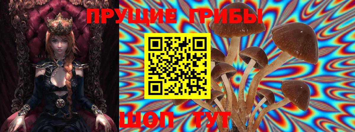 Ирбит  Галлюциногенные грибы GOLDEN TEACHER  где продают наркотики  Псилоцибиновые грибы ЛСД  Вход с VPN 